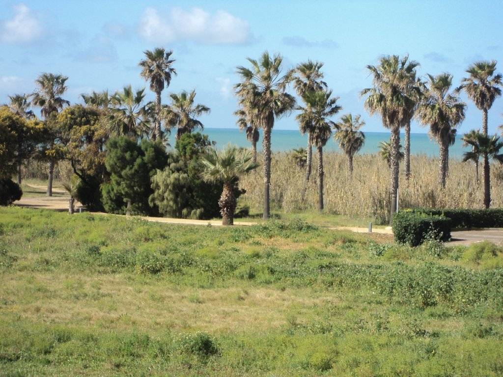 Huoneisto loma Costa Ballena - Largo norte (Rota)