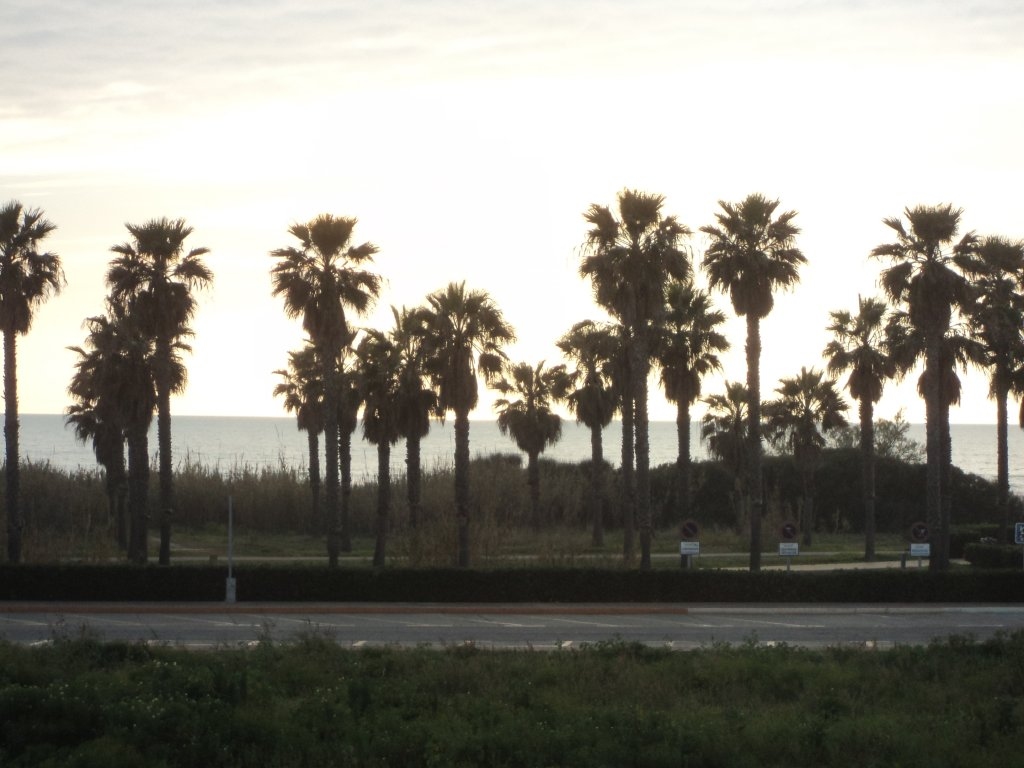 Piso di vacanza a Costa Ballena - Largo norte (Rota)