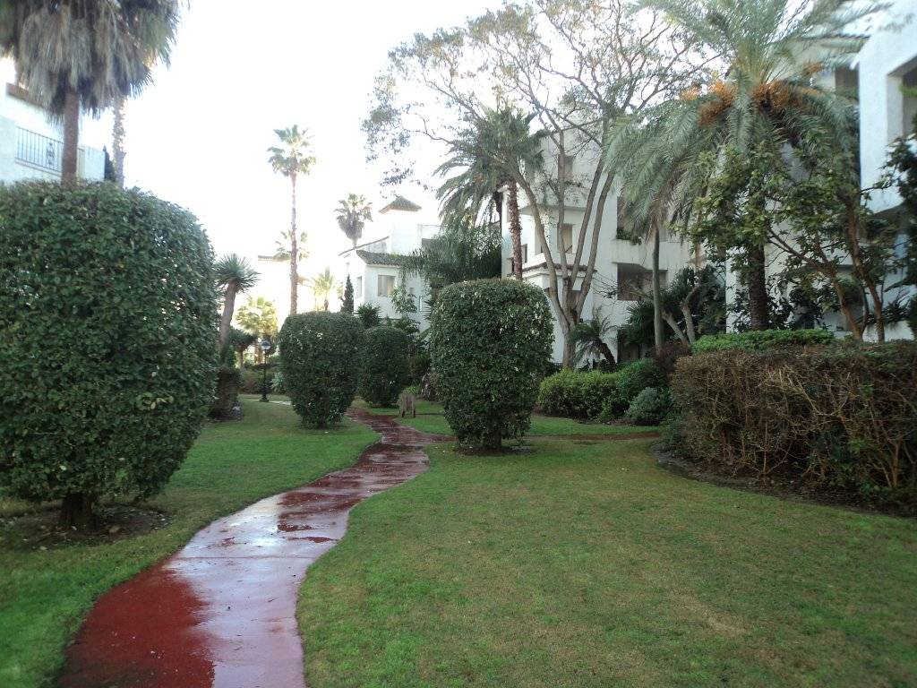 Apartment for rent in Costa Ballena - Largo norte (Rota)